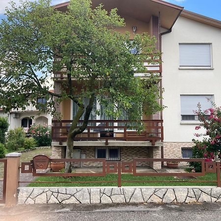 7 Flower Street Apartment Sempeter pri Gorici Exterior photo