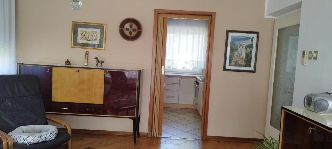 7 Flower Street Apartment Sempeter pri Gorici Exterior photo